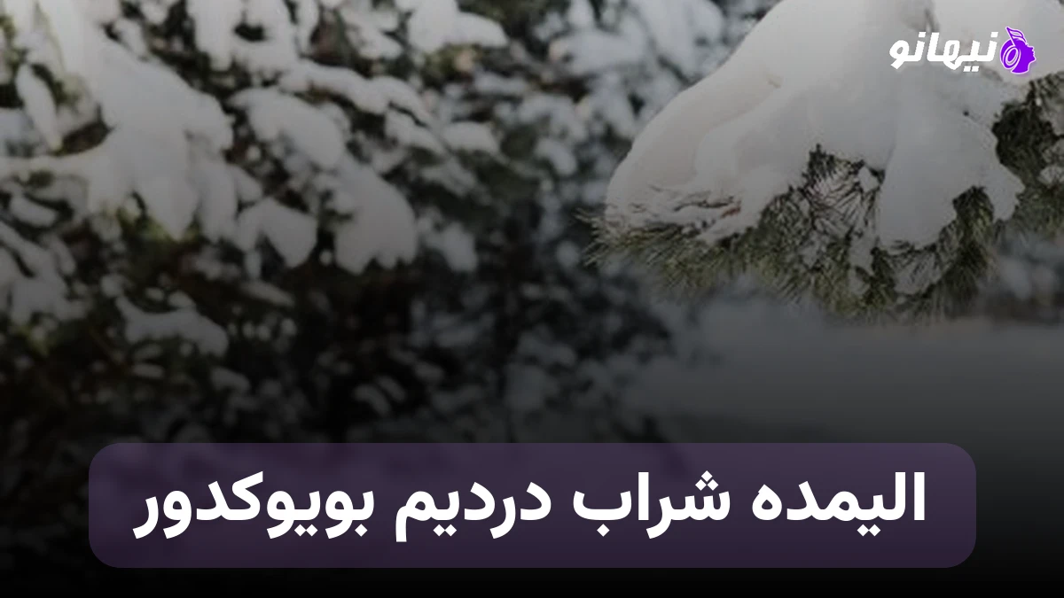 دانلود آهنگ الیمده شراب دردیم بویوکدور ترکی